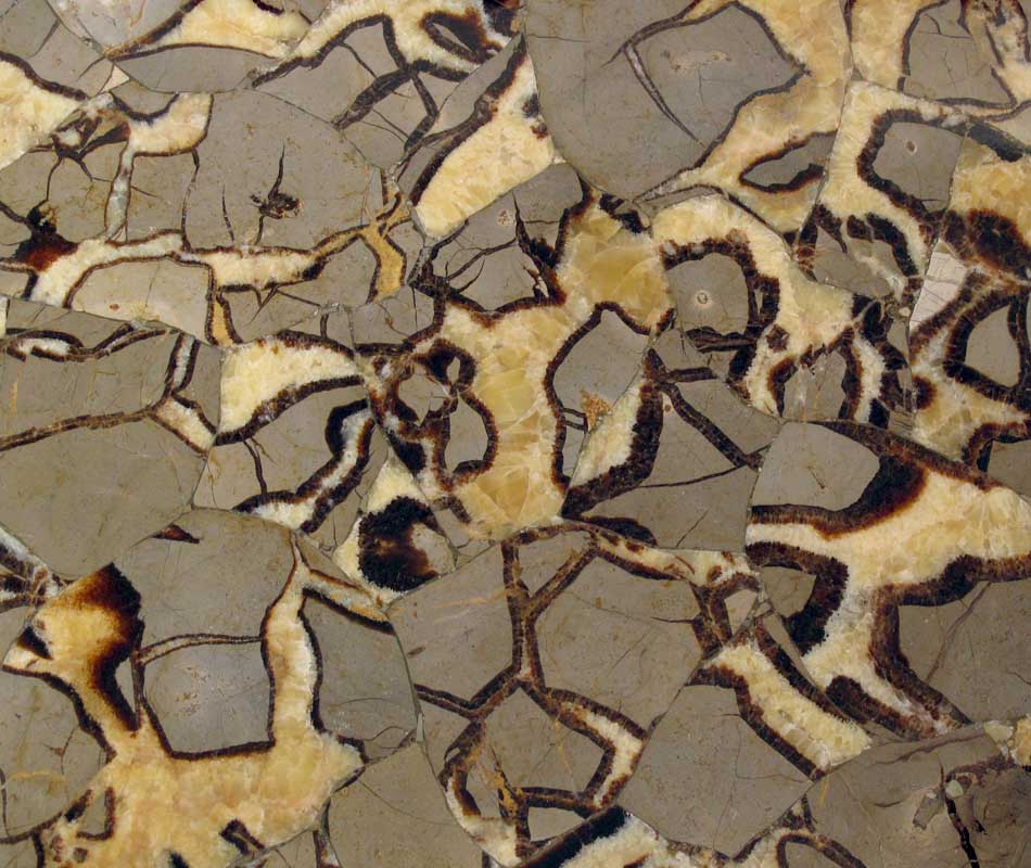 SEPTARIAN BACKLIT SLAB VIEW